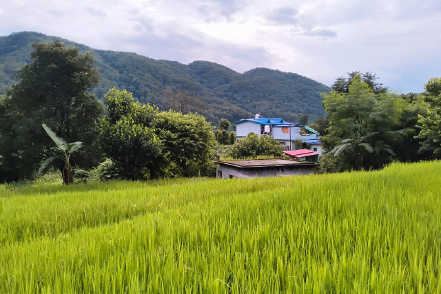KARTIYA VILLAGE HOMESTAY